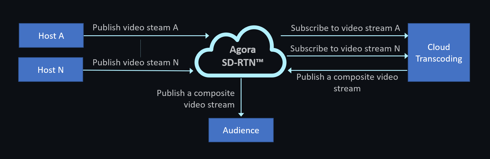 MultihostVideoStreamingOptimization